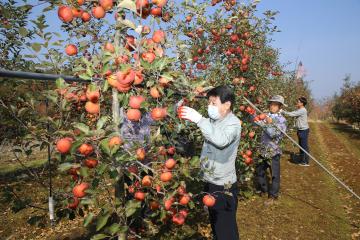 가을철 일손돕기 