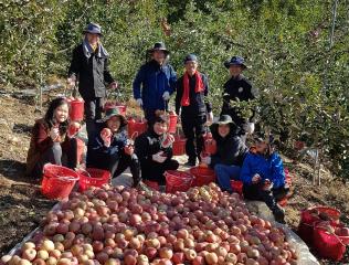 의성군의회, 농촌일손돕기 지원