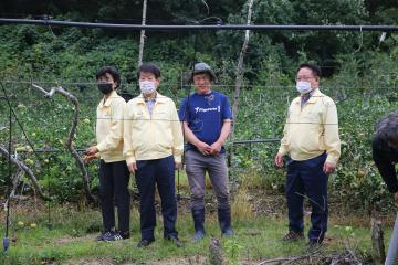 태풍 마이삭 피해농가 점검