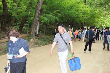 2024 고운사 천년숲길 맨발걷기